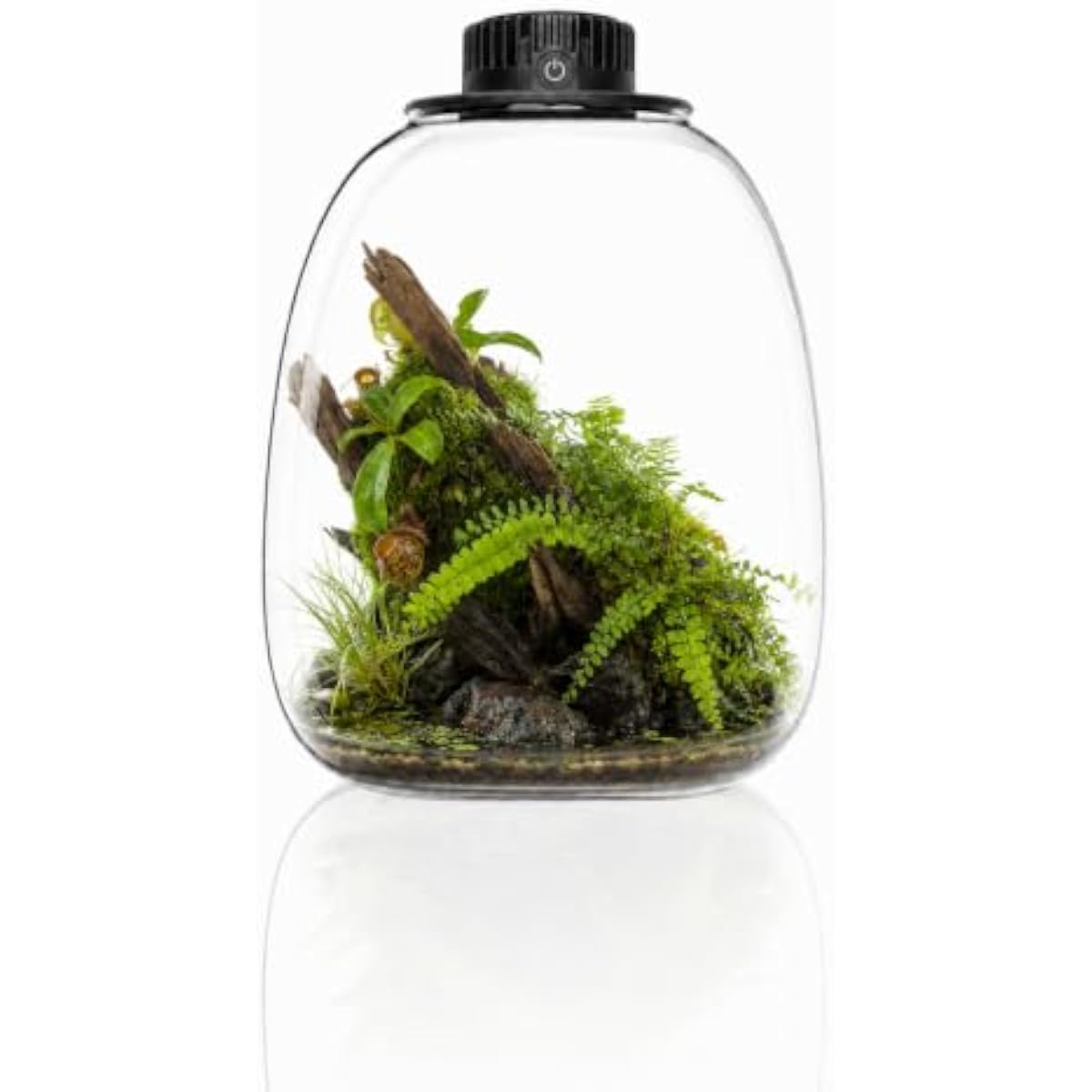 Terrarium Glass Bottle - Round Bio Bottle Terrarium with Adjustable