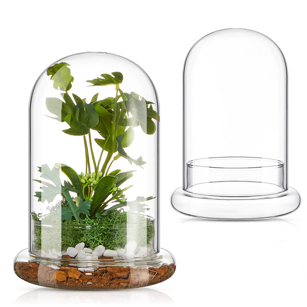 Terrarium Glass Bottle - Glass Dome with Airhole Glass Cloche