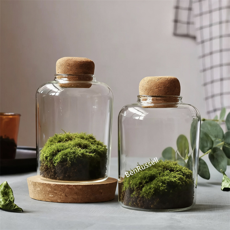 Terrarium Glass Bottle - Micro Landscape Moss Bryophyte Glass Bottle