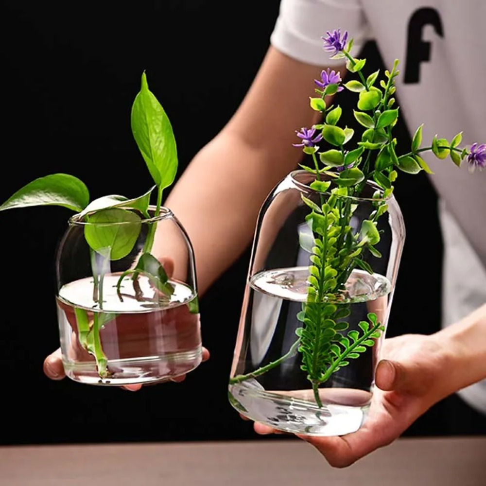 Terrarium Glass Bottle - Creative Hydroponic Plant Glass Simple Modern