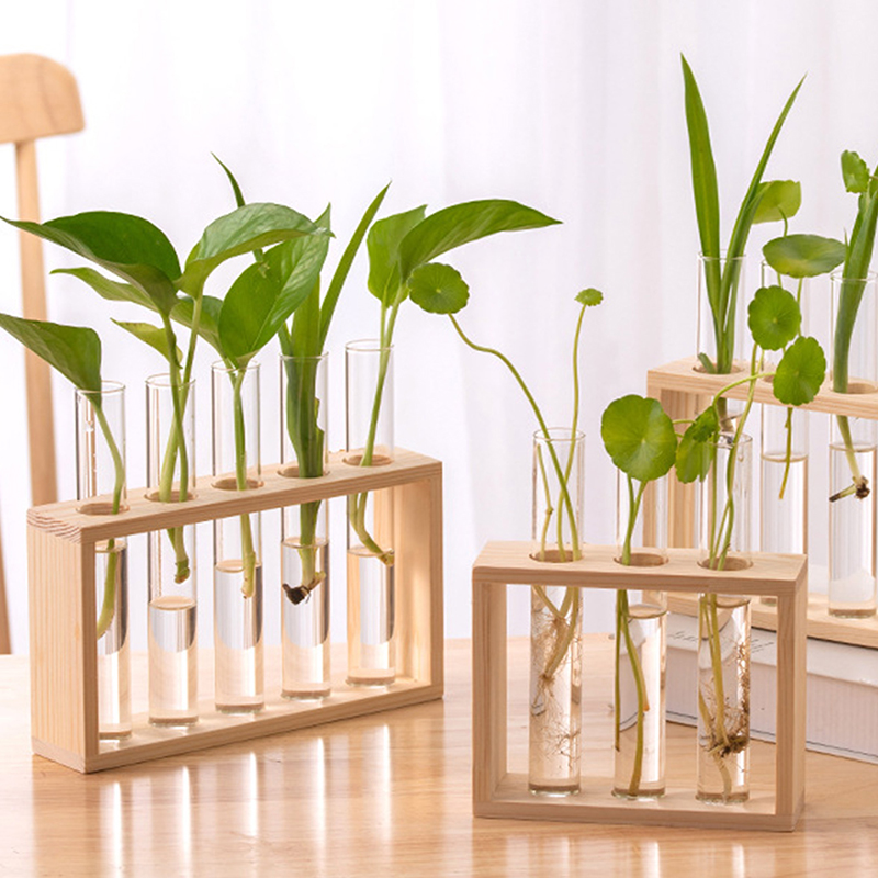 Terrarium Glass Bottle - Hydroponic Plants Container with Wood Frame
