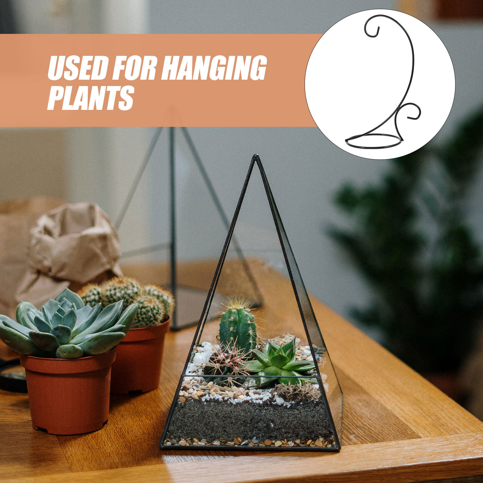 Terrarium Glass Bottle - 2Pcs Iron Hanging Ornament Display Stand
