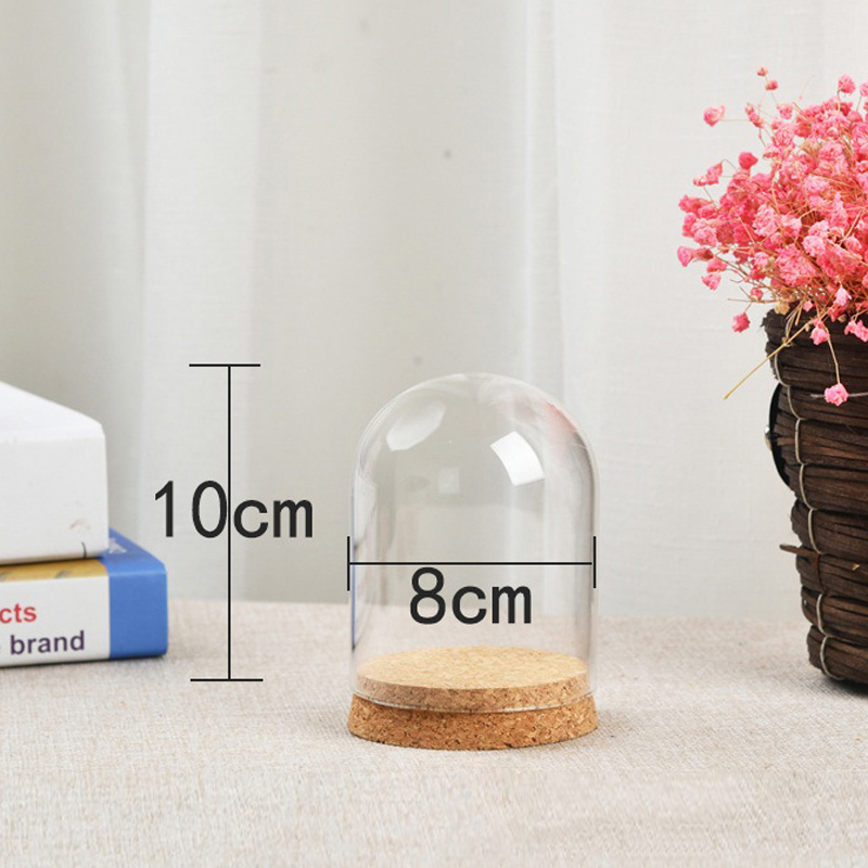 Glass Dome Cover For Flower Su - огляд і ціна Terrarium Glass Bottle