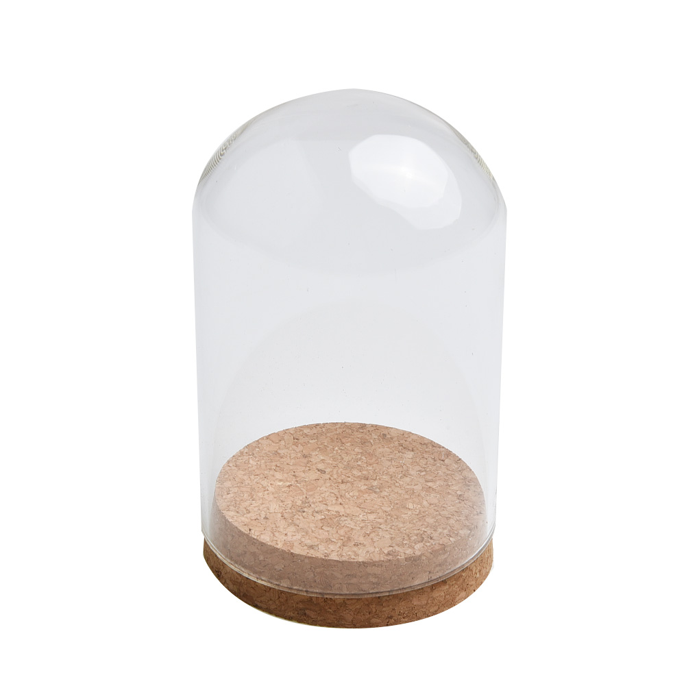 Glass Dome Cover For Flower Su - огляд і ціна Terrarium Glass Bottle