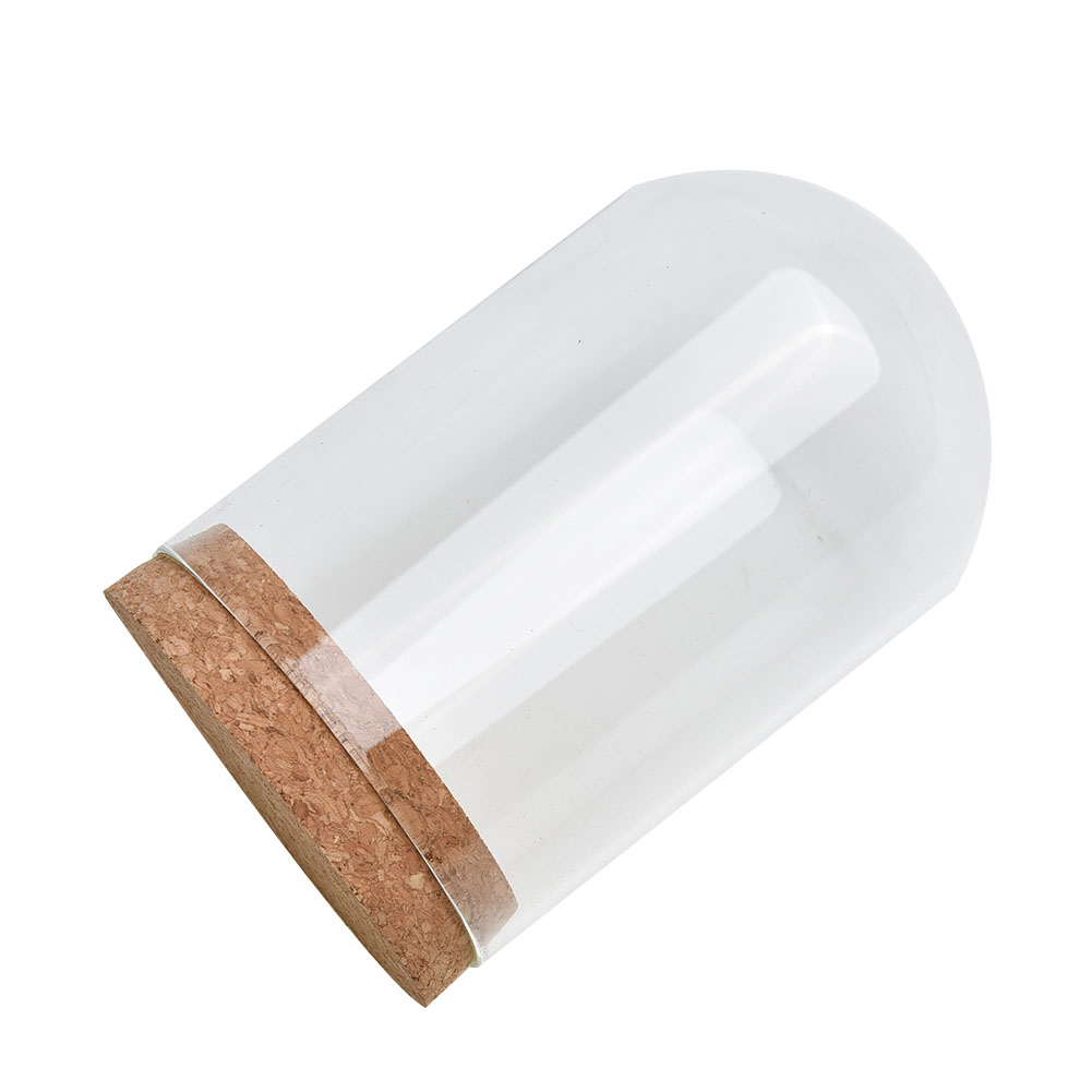 Glass Dome Cover For Flower Su - огляд і ціна Terrarium Glass Bottle