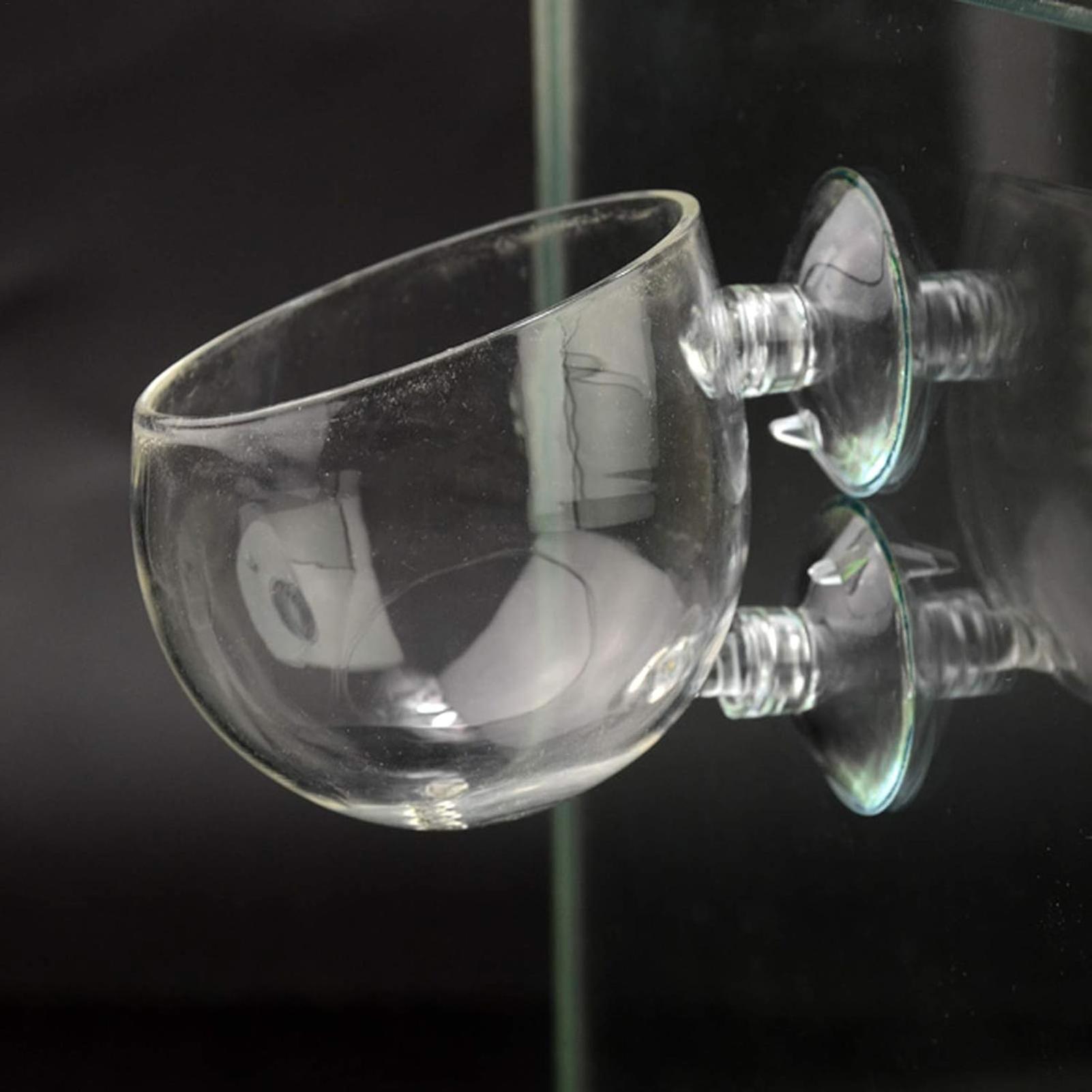 Aquarium Plant Holder Glass Aq - огляд і ціна Terrarium Glass Bottle