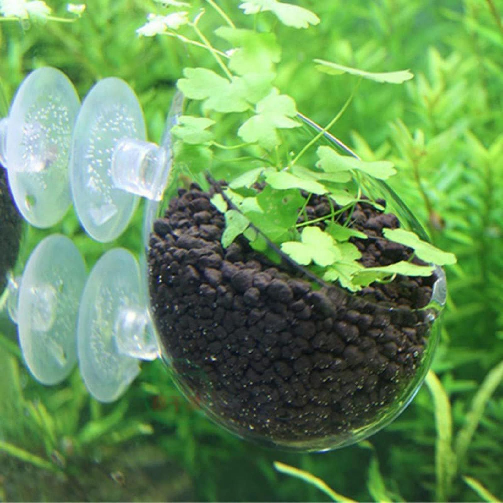 Aquarium Plant Holder Glass Aq - огляд і ціна Terrarium Glass Bottle