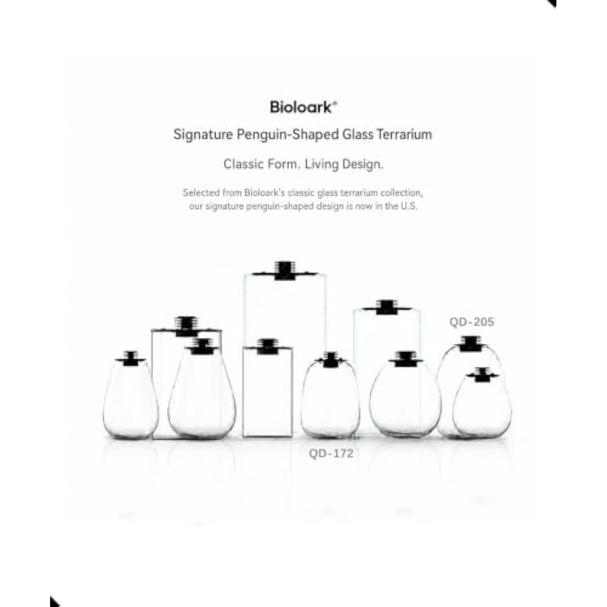 Round Bio Bottle Terrarium wit - огляд і ціна Terrarium Glass Bottle
