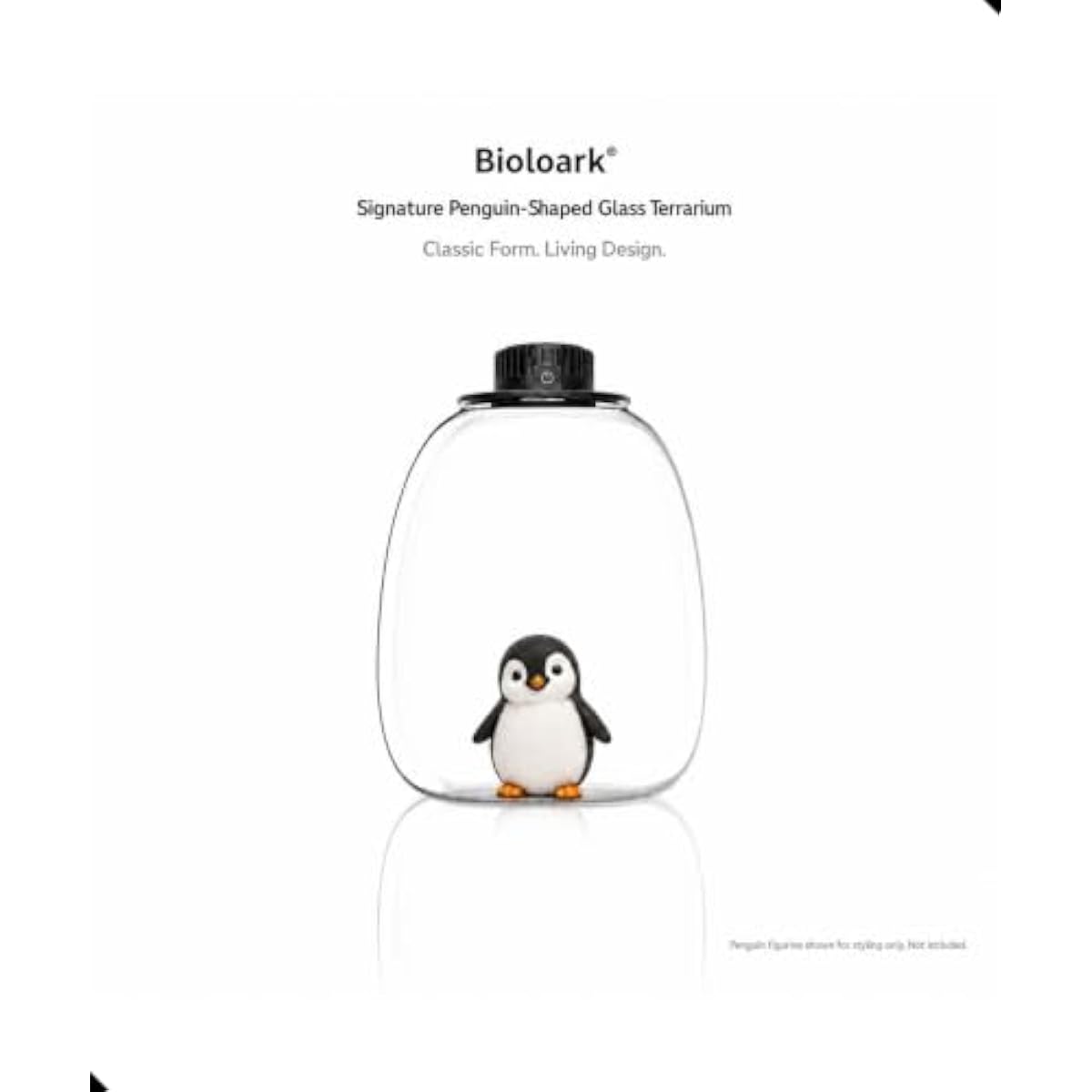 Round Bio Bottle Terrarium wit - огляд і ціна Terrarium Glass Bottle