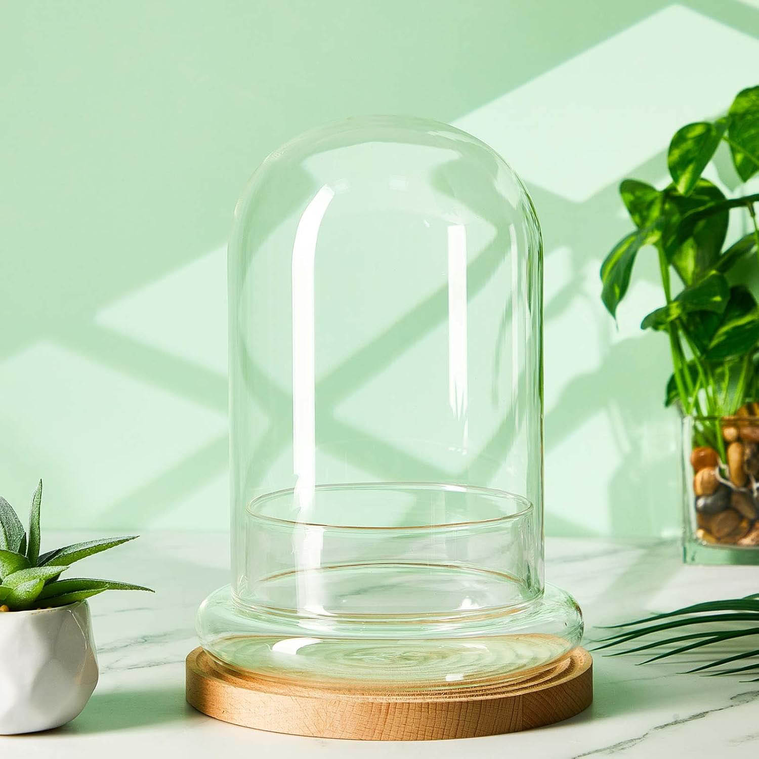 Glass Dome with Airhole Glass  - огляд і ціна Terrarium Glass Bottle