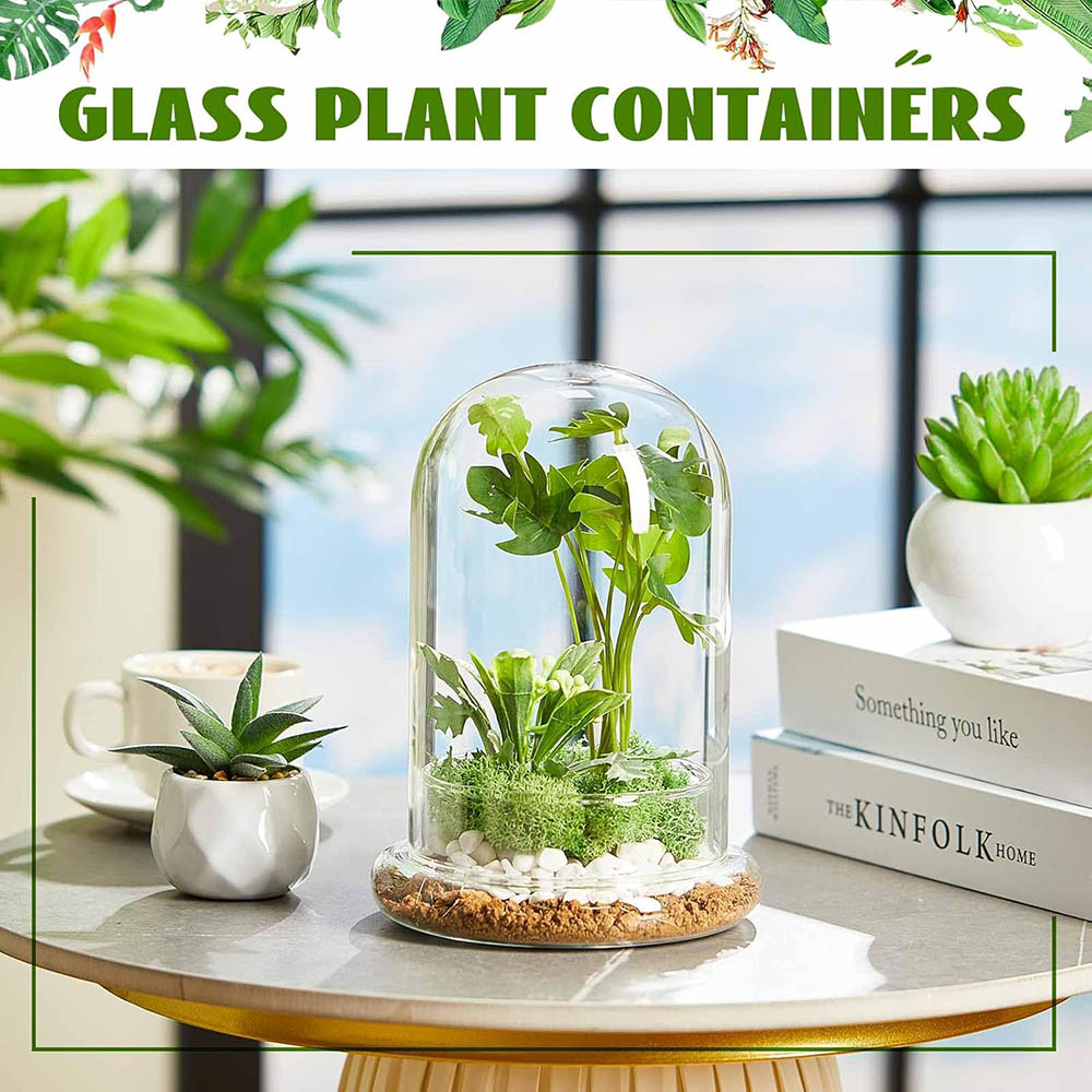 Glass Dome with Airhole Glass  - огляд і ціна Terrarium Glass Bottle