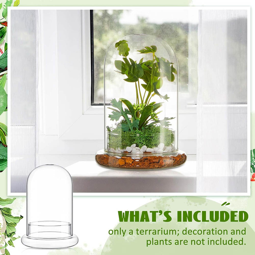 Glass Dome with Airhole Glass  - огляд і ціна Terrarium Glass Bottle