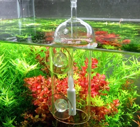 VIV Do Device Aquarium Cylinde - огляд і ціна Terrarium Glass Bottle