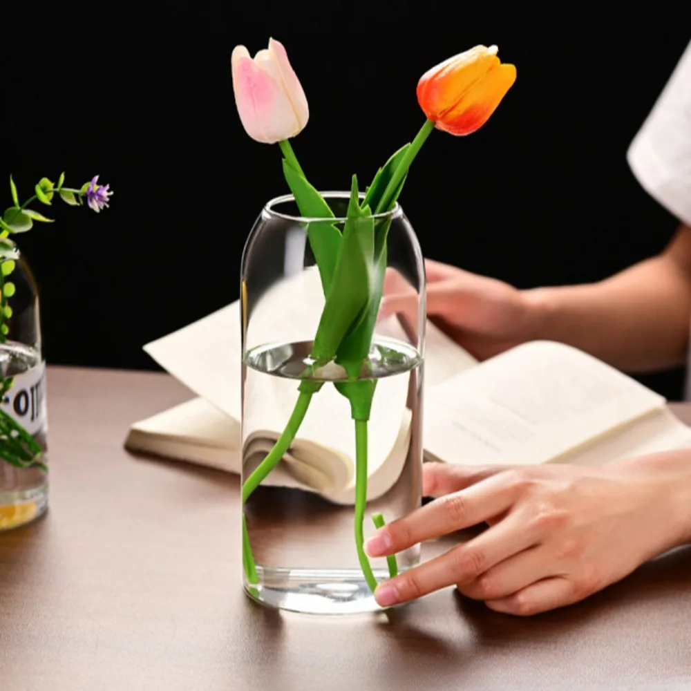 Creative Hydroponic Plant Glas - огляд і ціна Terrarium Glass Bottle
