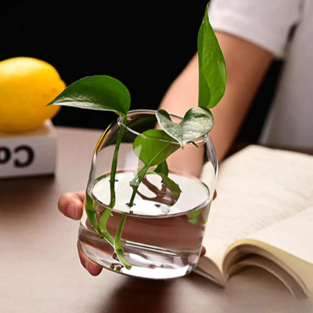 Creative Hydroponic Plant Glas - огляд і ціна Terrarium Glass Bottle