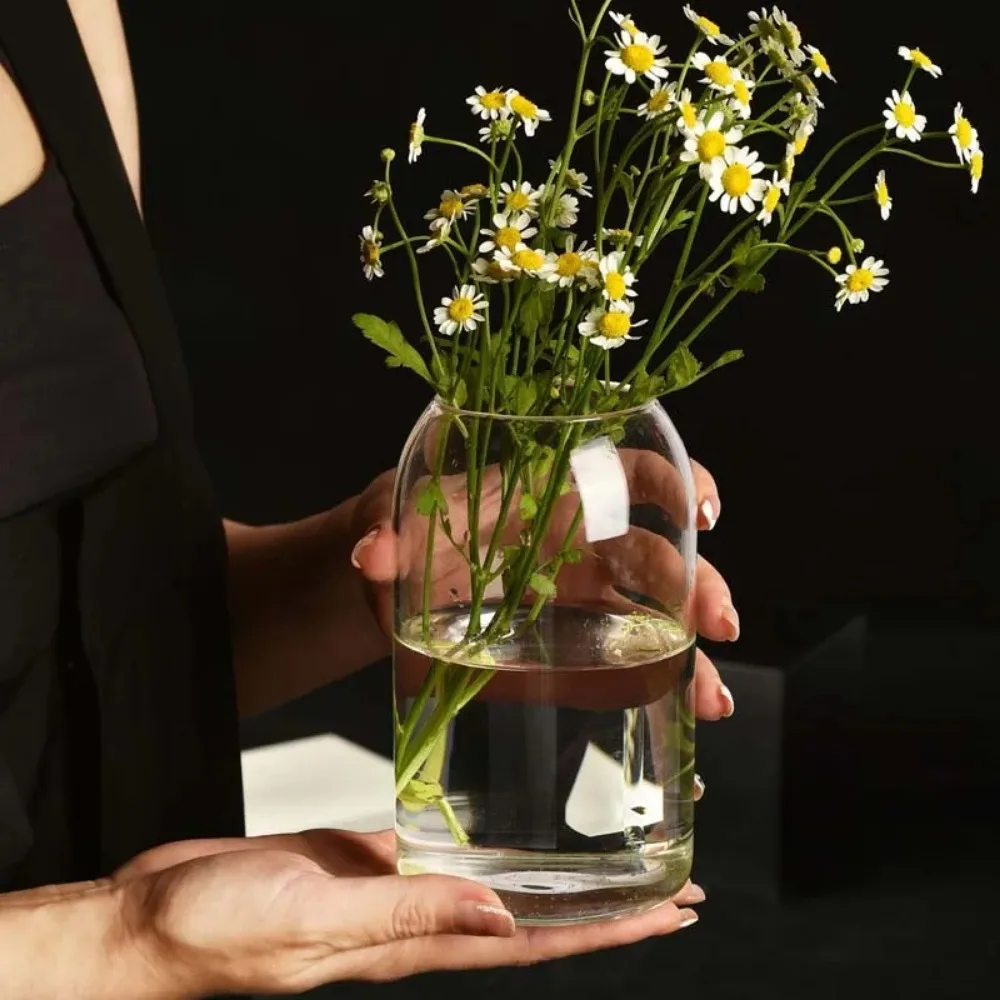 Creative Hydroponic Plant Glas - огляд і ціна Terrarium Glass Bottle