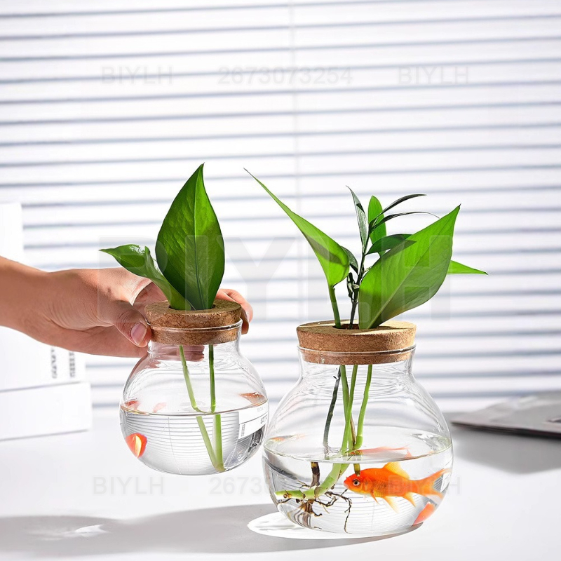 Hydroponic Plant Glass Vase Wi - огляд і ціна Terrarium Glass Bottle