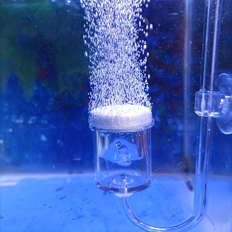 Aquarium Glass CO2 Atomizer Di - огляд і ціна Terrarium Glass Bottle
