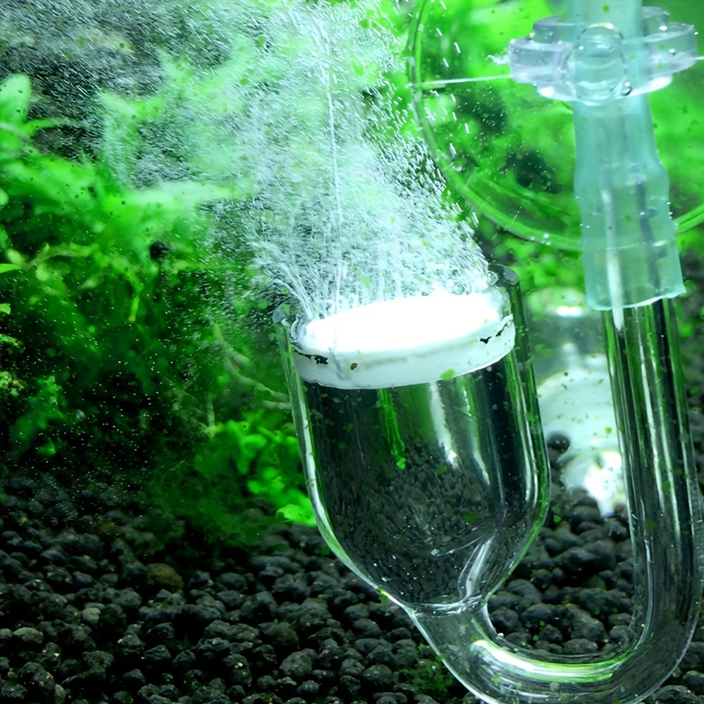 Aquarium Glass CO2 Atomizer Di - огляд і ціна Terrarium Glass Bottle