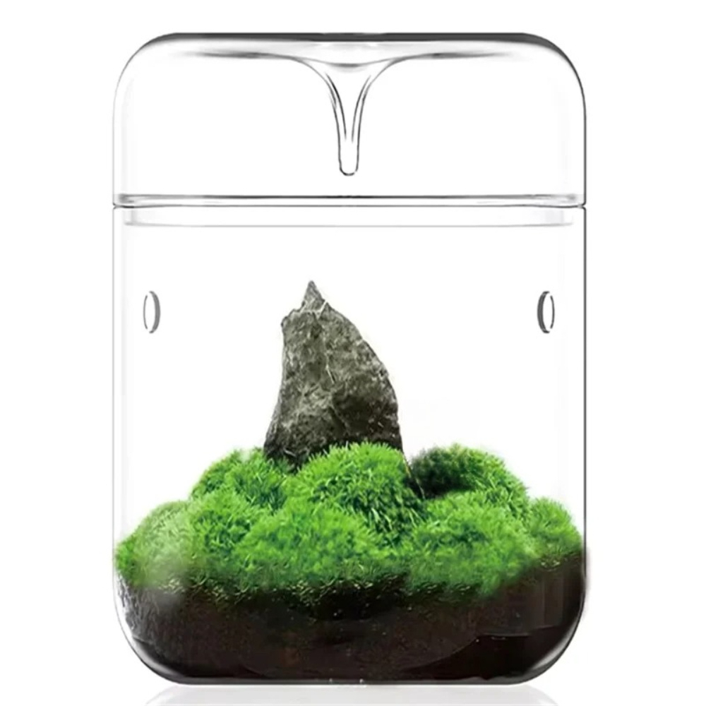 Desktop Glass Micro Landscape  - огляд і ціна Terrarium Glass Bottle