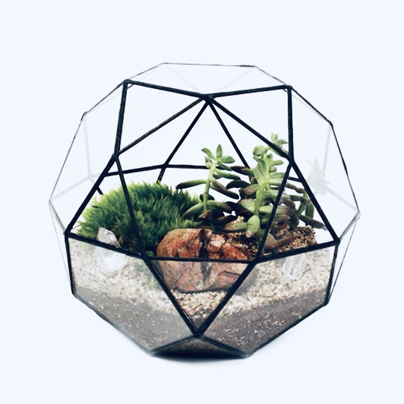 Polyhedron Geometric Glass Ter - огляд і ціна Terrarium Glass Bottle