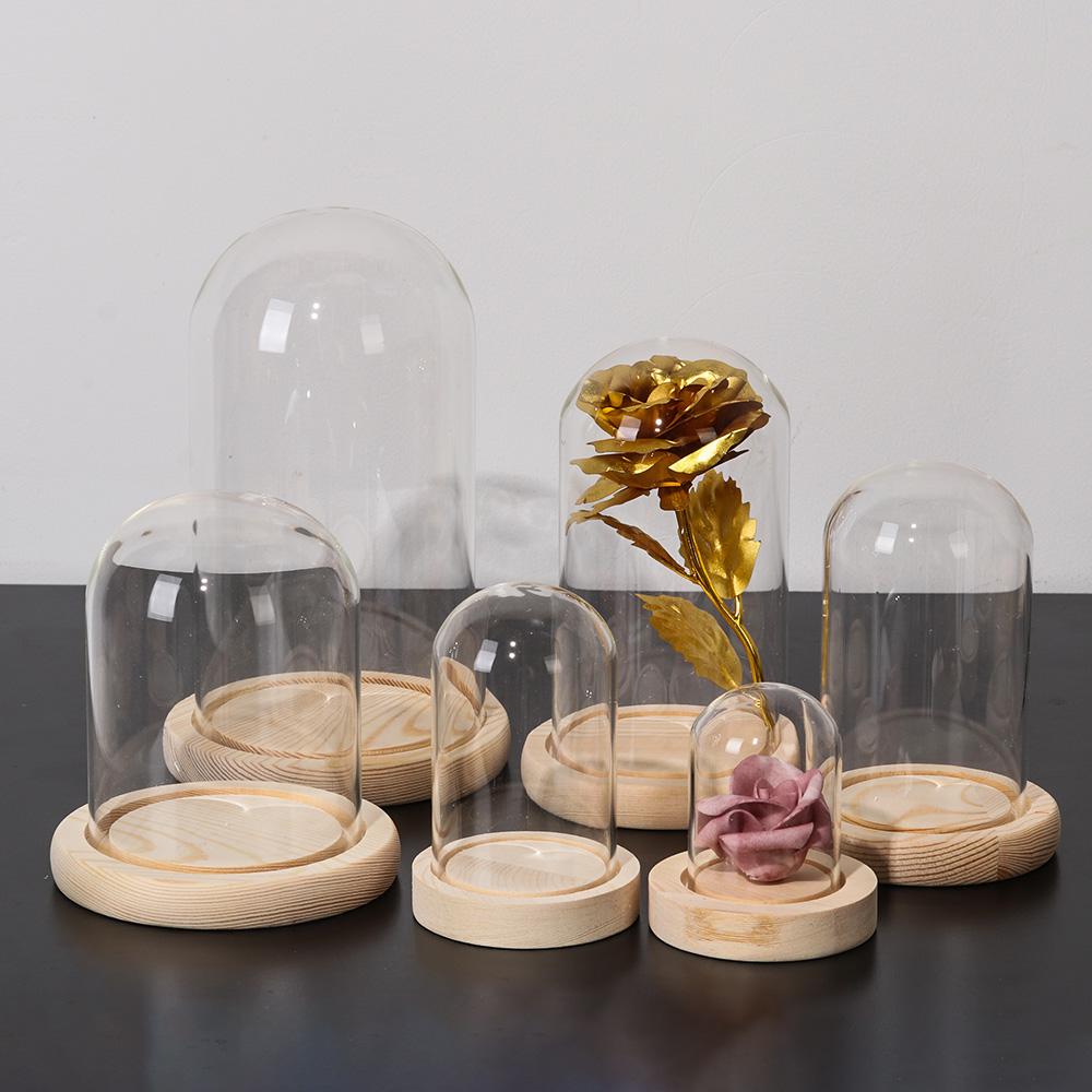 Glass Cloche Jar Display Stand - огляд і ціна Terrarium Glass Bottle