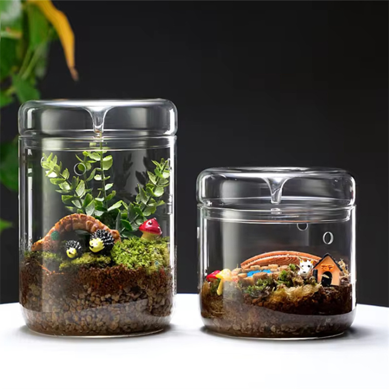 Glass Bottles Creativity Dew C - огляд і ціна Terrarium Glass Bottle