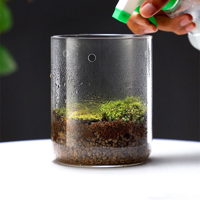 Glass Bottles Creativity Dew C - огляд і ціна Terrarium Glass Bottle