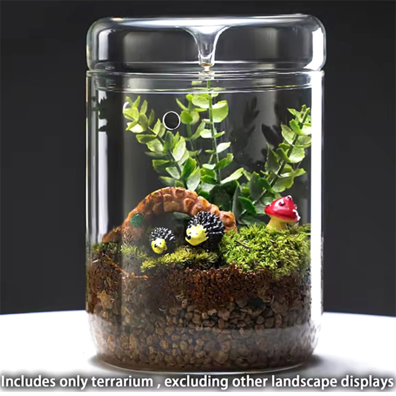 Glass Bottles Creativity Dew C - огляд і ціна Terrarium Glass Bottle