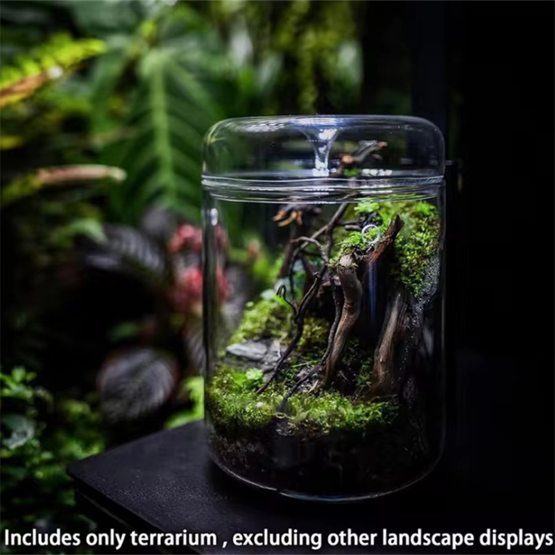 Glass Bottles Creativity Dew C - огляд і ціна Terrarium Glass Bottle