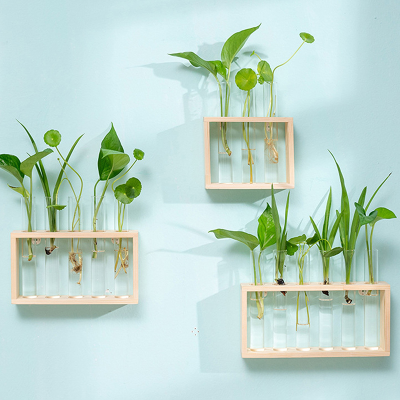 Hydroponic Plants Container wi - огляд і ціна Terrarium Glass Bottle