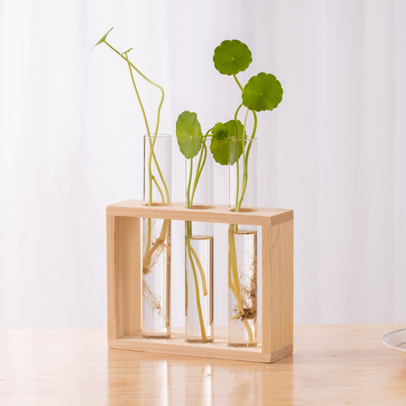 Hydroponic Plants Container wi - огляд і ціна Terrarium Glass Bottle