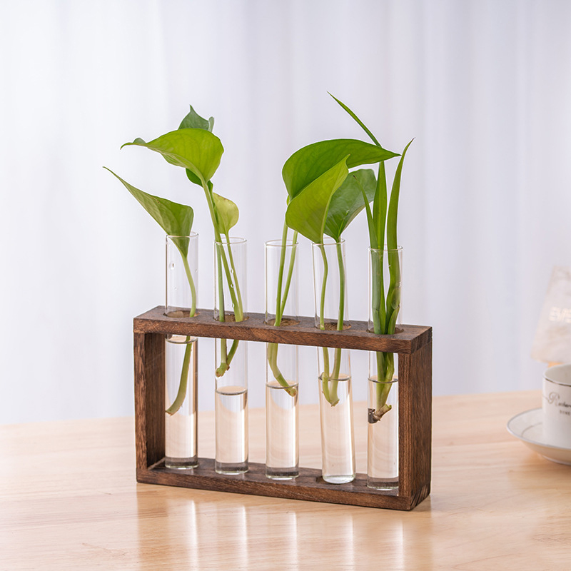 Hydroponic Plants Container wi - огляд і ціна Terrarium Glass Bottle