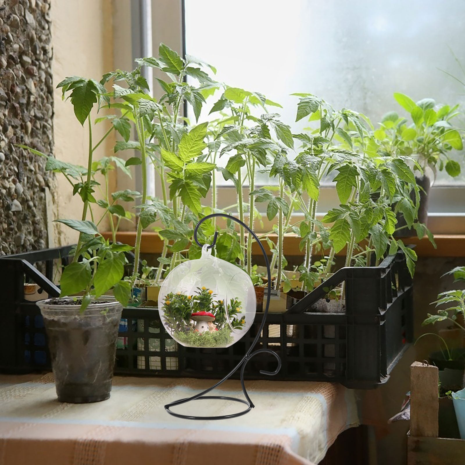 2Pcs Iron Hanging Ornament Dis - огляд і ціна Terrarium Glass Bottle